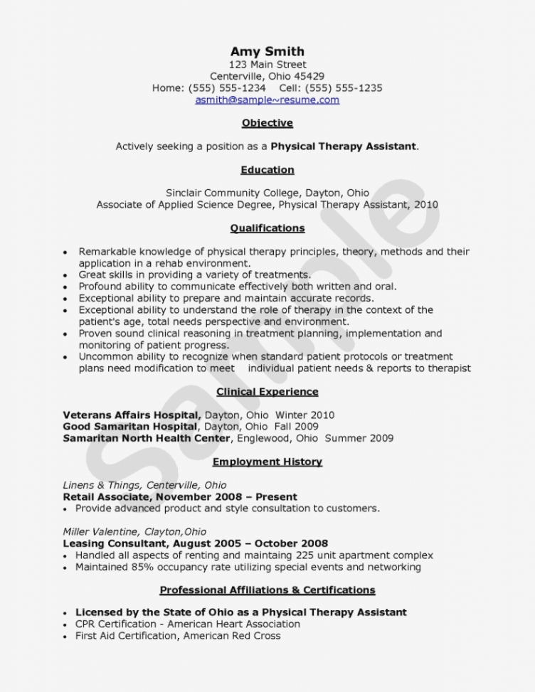 Editable Physical Therapist Assistant Resume Template Excel