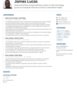 Entry Level Data Analyst Resume Template Excel