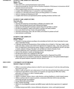 Free Blank Personal Care Assistant Resume Template Doc Sample