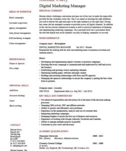 Free Custom Digital Marketing Manager Resume Template Pdf