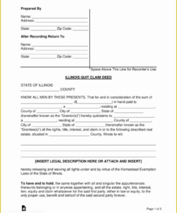 Free Custom Illinois Living Will Template Doc