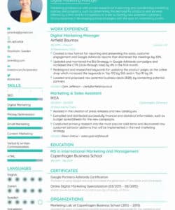 Free  Digital Marketing Manager Resume Template Doc Sample