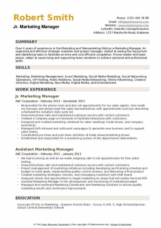 Free Editable Product Marketing Manager Resume Template Word