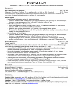 Printable Experienced It Professional Resume Template