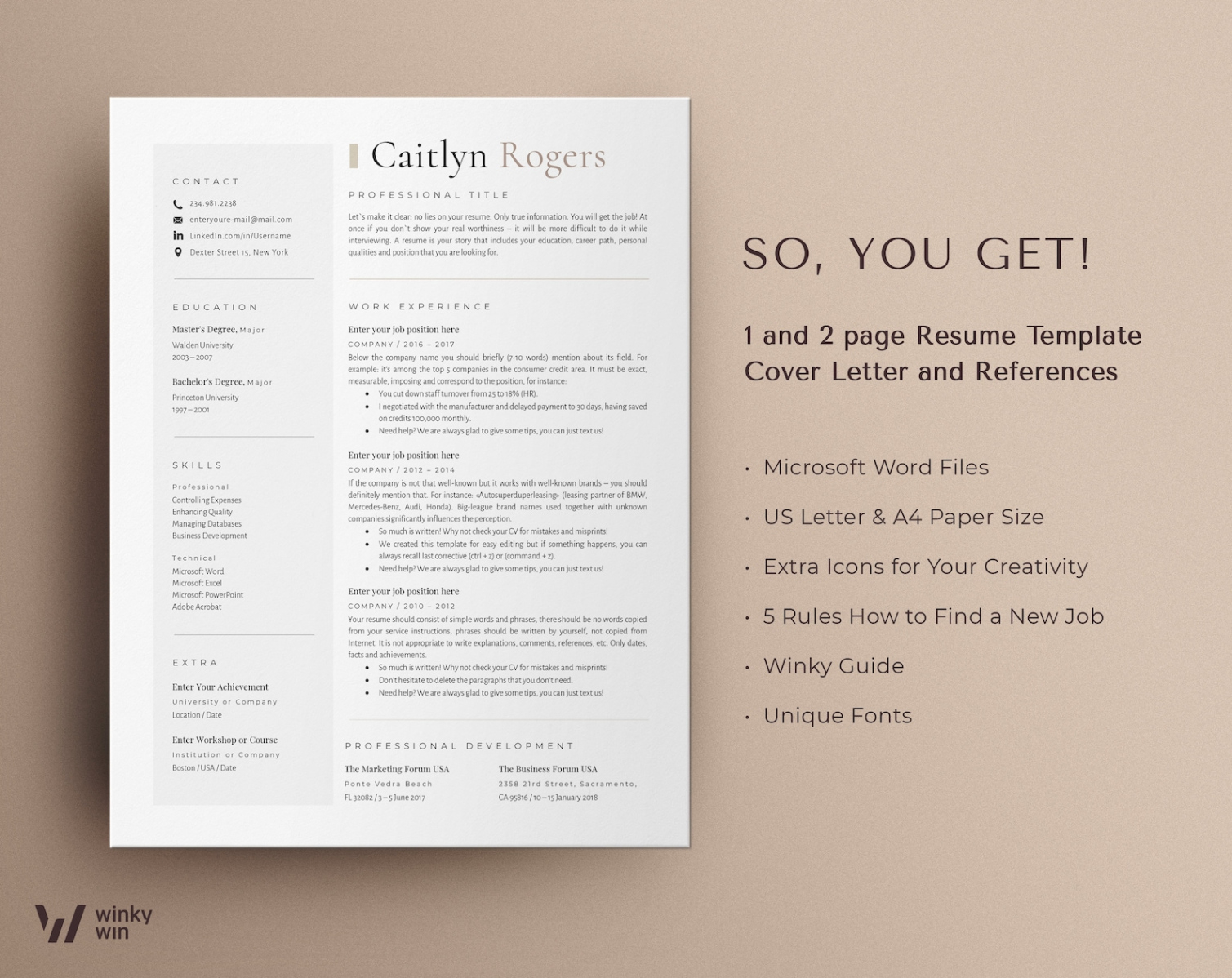 Blank Director Of Sales Resume Template