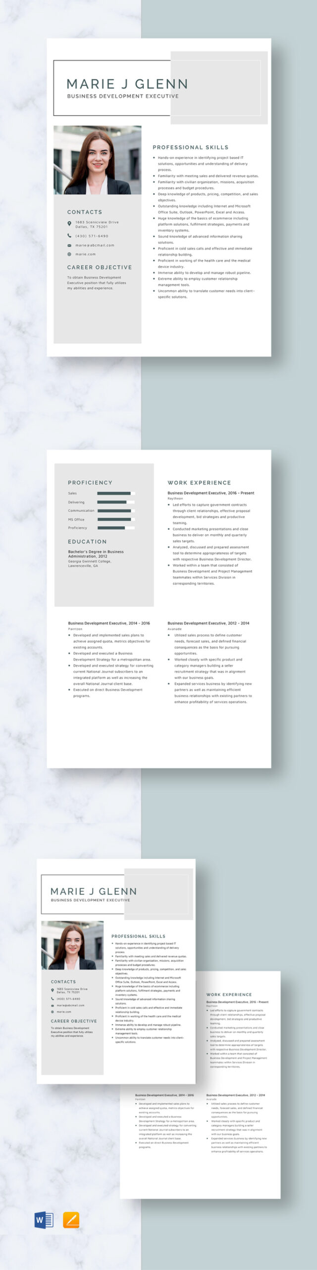 Free Editable Business Development Executive Resume Template Pdf Sample