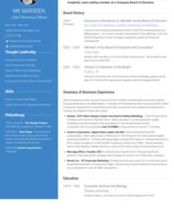 Board Of Directors Resume Template Word