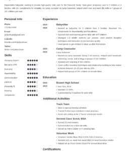 Custom Resume With Volunteer Work Template Excel