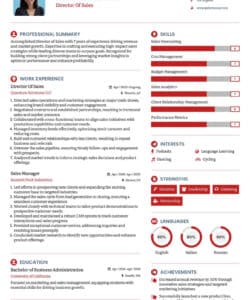 Editable Sales And Marketing Resume Template Pdf Sample