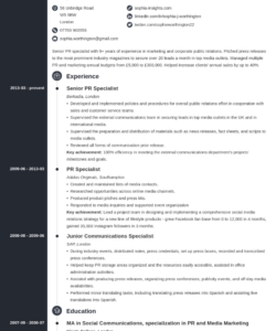 Free Custom Functional Skills Based Resume Template  Sample