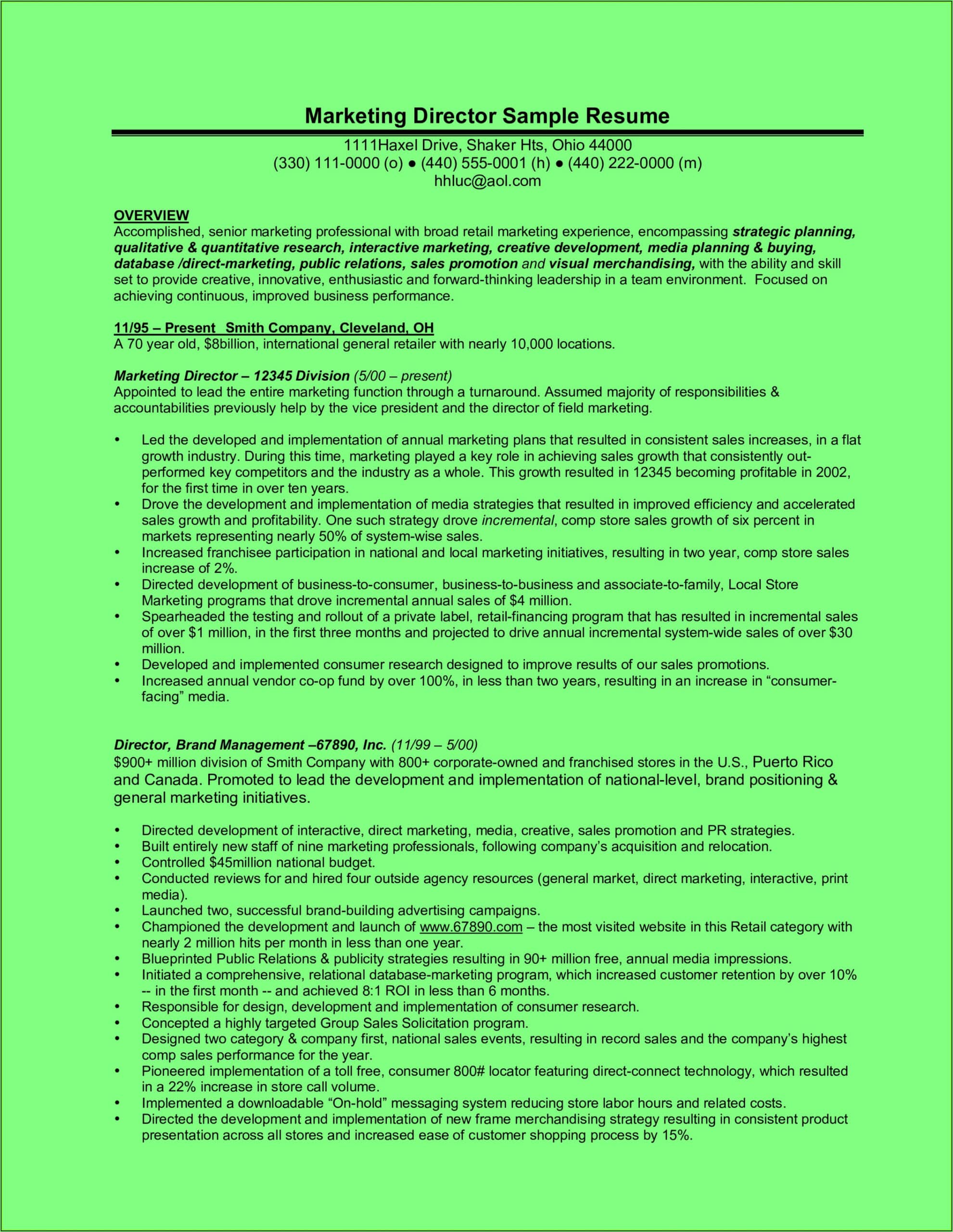 Printable Board Of Directors Resume Template Doc Sample