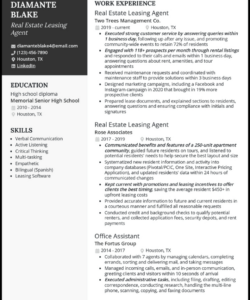 Real Estate Agent Resume Template Excel Sample