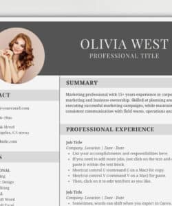 Sales And Marketing Resume Template Word
