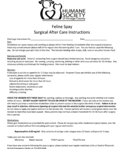 veterinary discharge instructions template 20202022  fill and sign discharge instruction template word