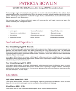 Blank Basic Ats Friendly Resume Template
