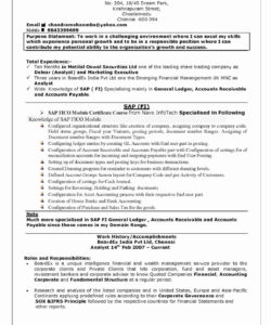 Custom Accounts Payable Manager Resume Template Doc