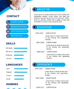 Custom Blue And White Resume Template Pdf