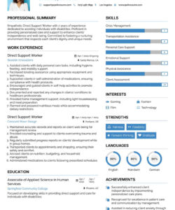 Custom Direct Support Professional Resume Template Excel Sample