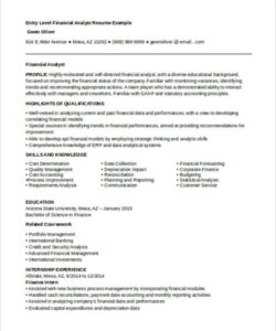 Free Blank Entry Level Finance Resume Template