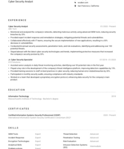 Free  Cyber Security Analyst Resume Template Doc Sample