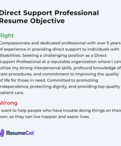 Free Editable Direct Support Professional Resume Template Word Sample
