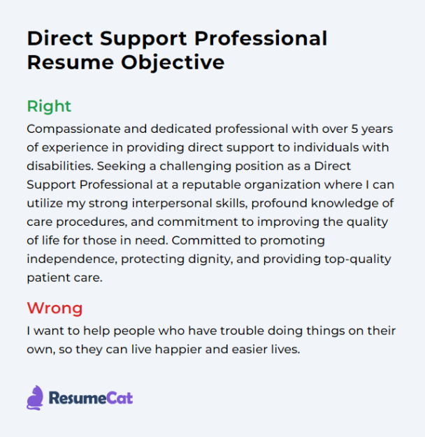 Free Editable Direct Support Professional Resume Template Word Sample